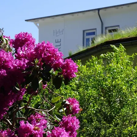 Waldperle Hotel